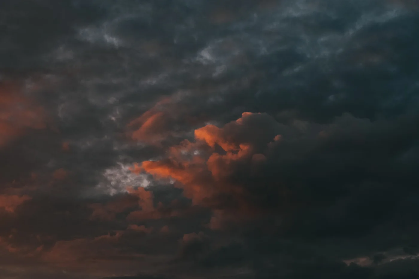 Synapse 2025 / DAWN